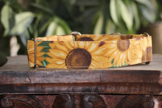 Sunflower Canvas Martingale Dog Collar, wide and thick, size small through XL